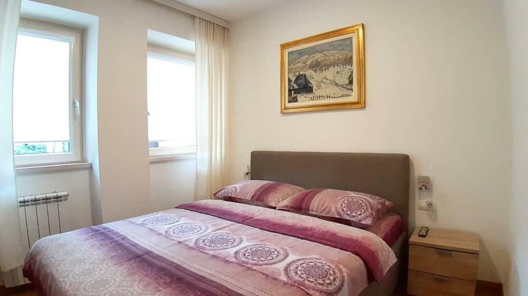 Lux Apartment Lazarevic ズラティボール エクステリア 写真